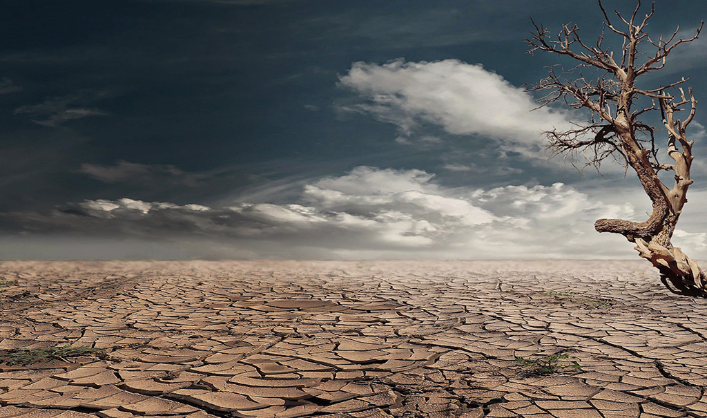 landscape depicting a drought