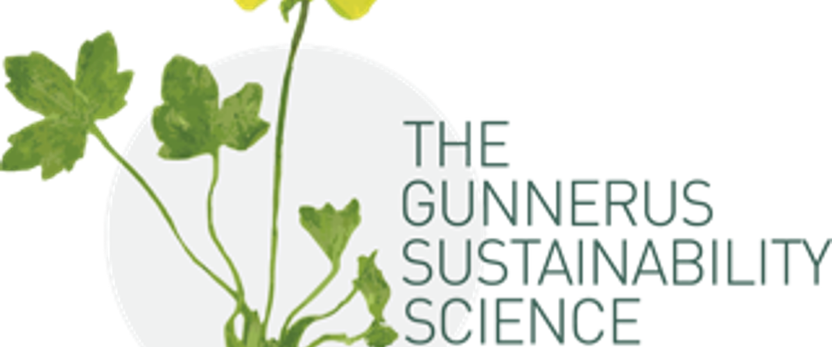 Liu honored with Gunnerus Award in Sustainability Science