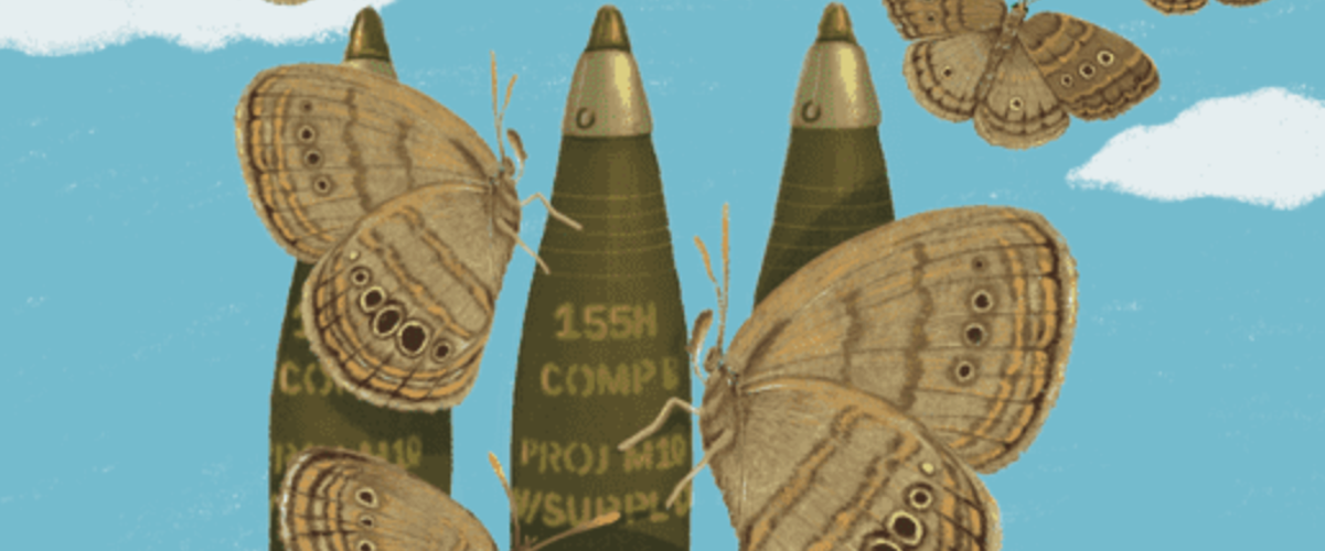 This week on Radiolab: Of Bombs and Butterflies