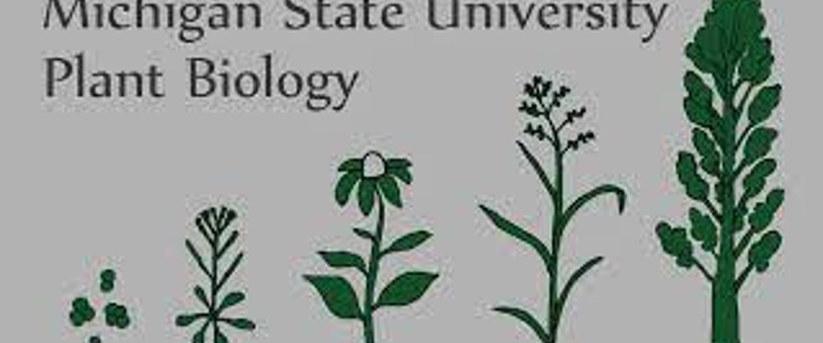Two EEB members win first plant biology postdoc honors