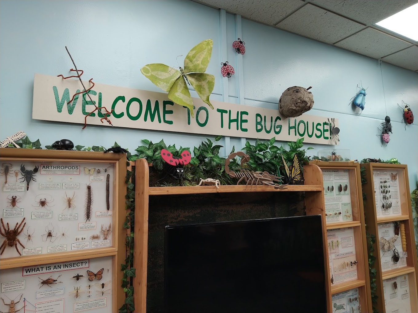 MSU Welcome to the Bug House sign
