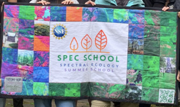 Colorful banner for SPEC school