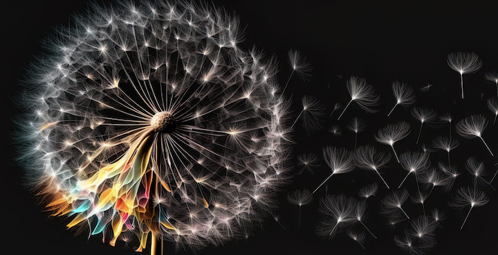 A dramatic dandelion representation gone to seed on a black background