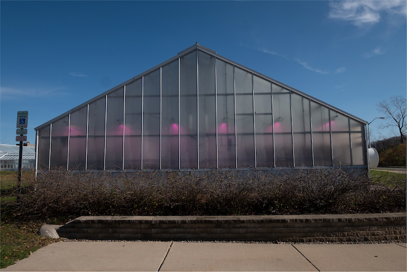 MSU greenhouse -- an example of research infrastructure