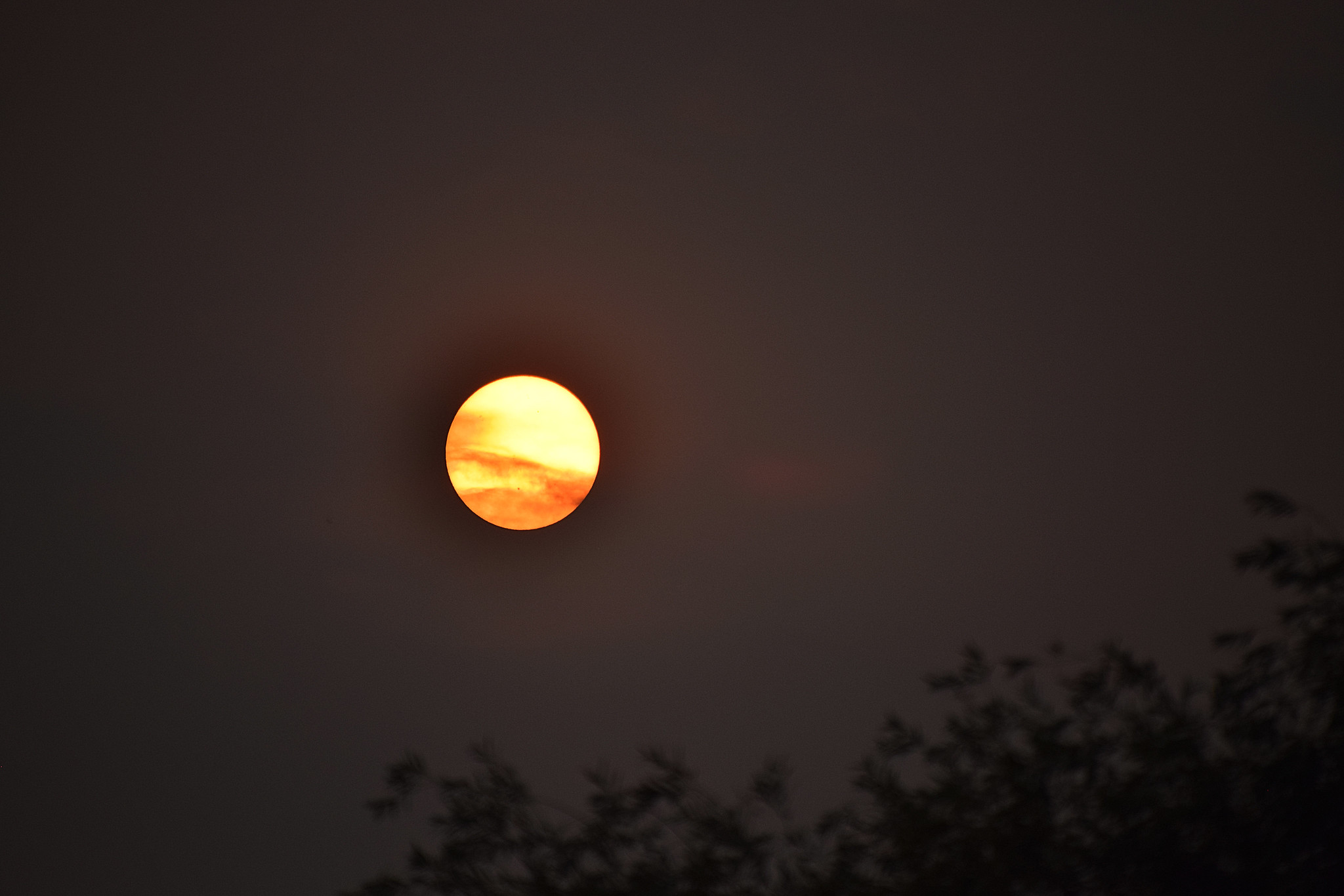 Wildfire smoke blocks sun, credit: MTSOFan on Flickr