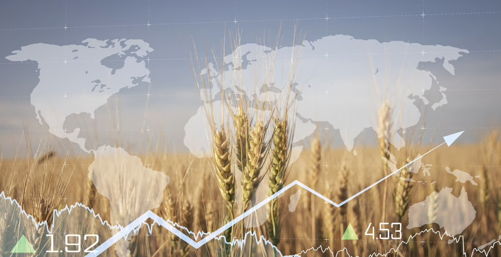 Wheat field with financial info in front