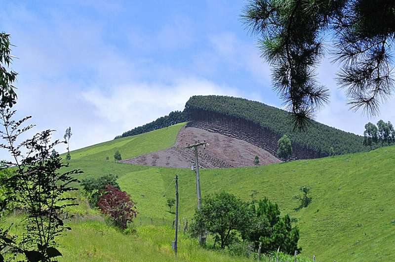 A hilltop in Brazil with stark deforestation line
