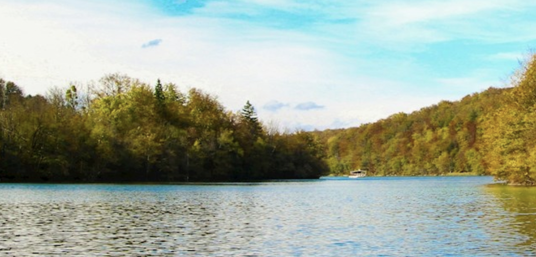 A lake in a forest