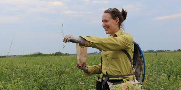 Lauren Sullivan, assistant professor of plant biology and Associate Director of MSU’s Ecology, Evolution & Behavior Program