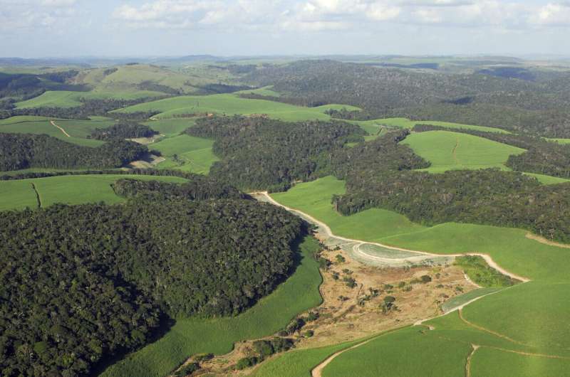 Green aerial view of fragmented habitat