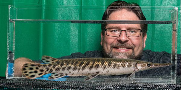 Ingo Braasch, associate professor of integrative biology, Michigan State University