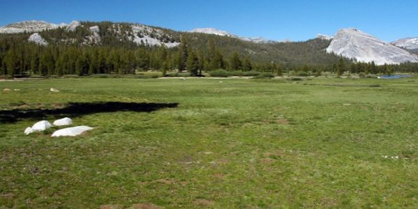 Tuolumne Meadows in Yosemite National Park