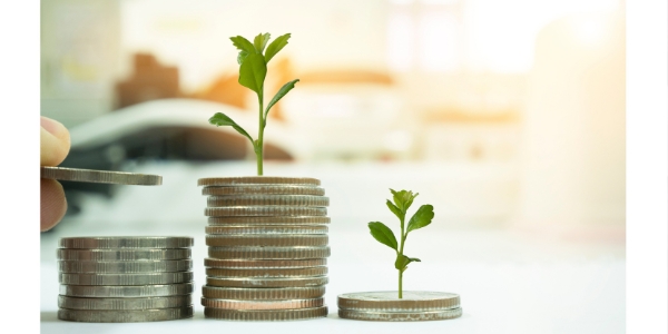 seed grant
