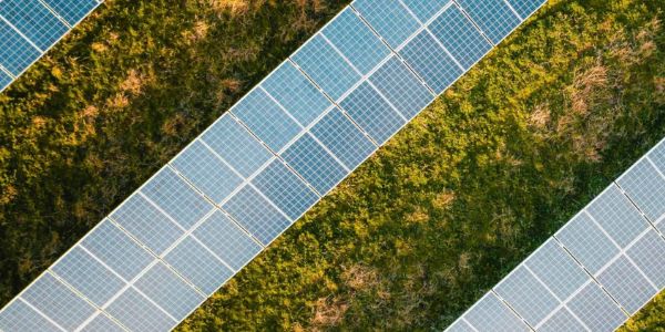 solar panels in field
