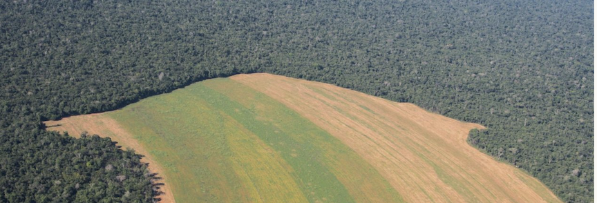 Deforestation on Matto Grosso Brazil