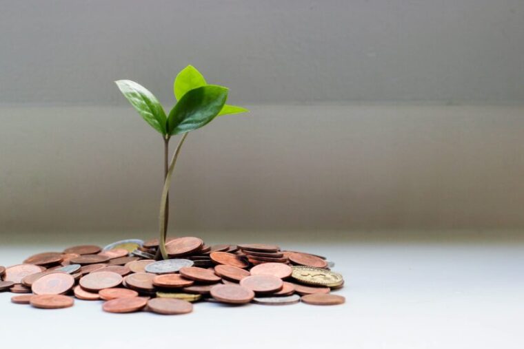 Photo of plant sprouting from a pile of pennies