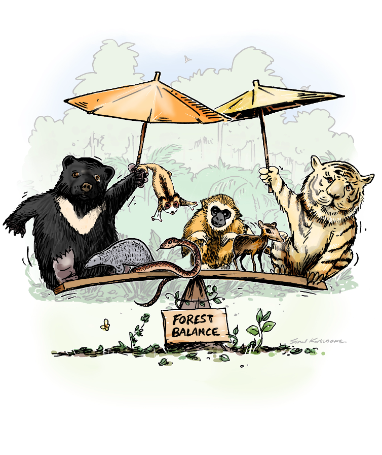 Picture of three animals (bear, tiger orangutan) on a see saw holding umbrellas