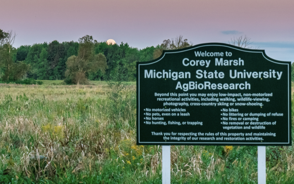 Corey Marsh entrance sign