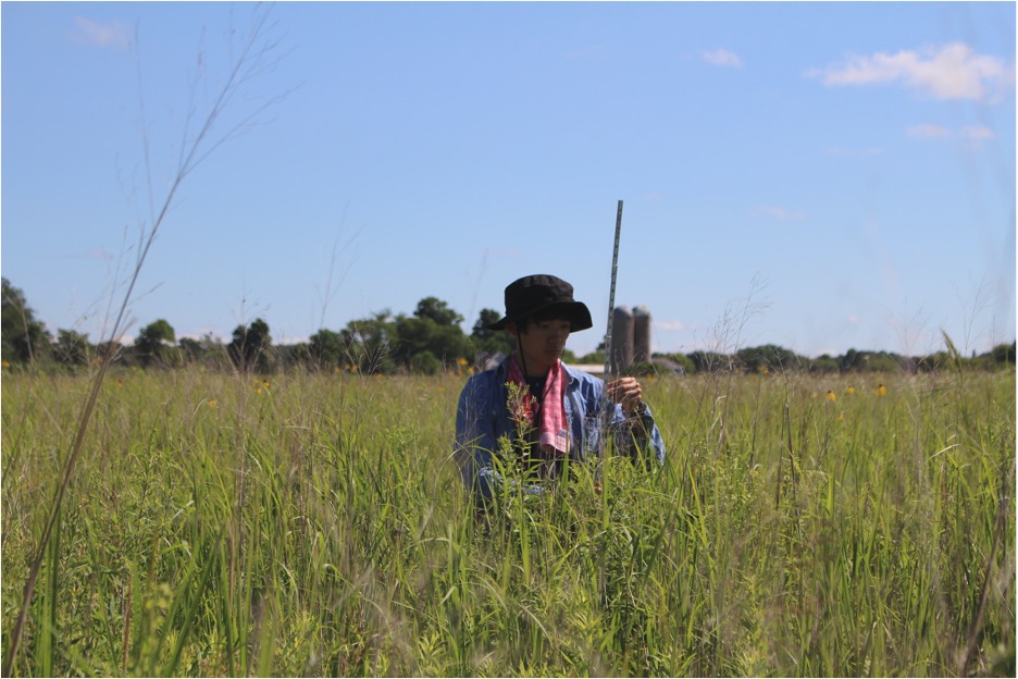 Researcher in the field