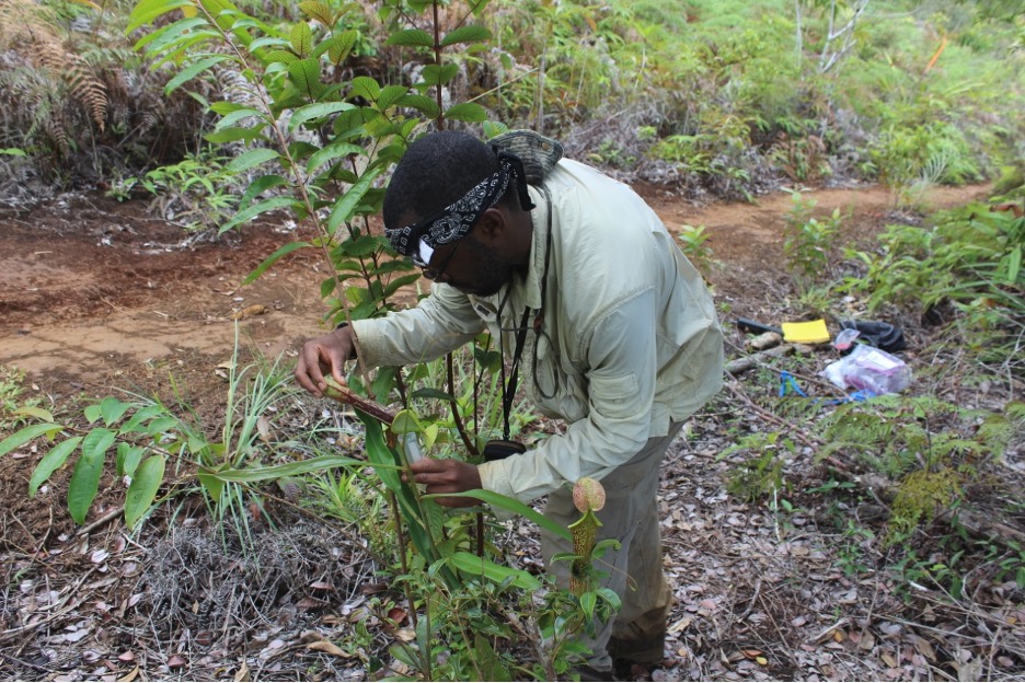 Researcher in the field