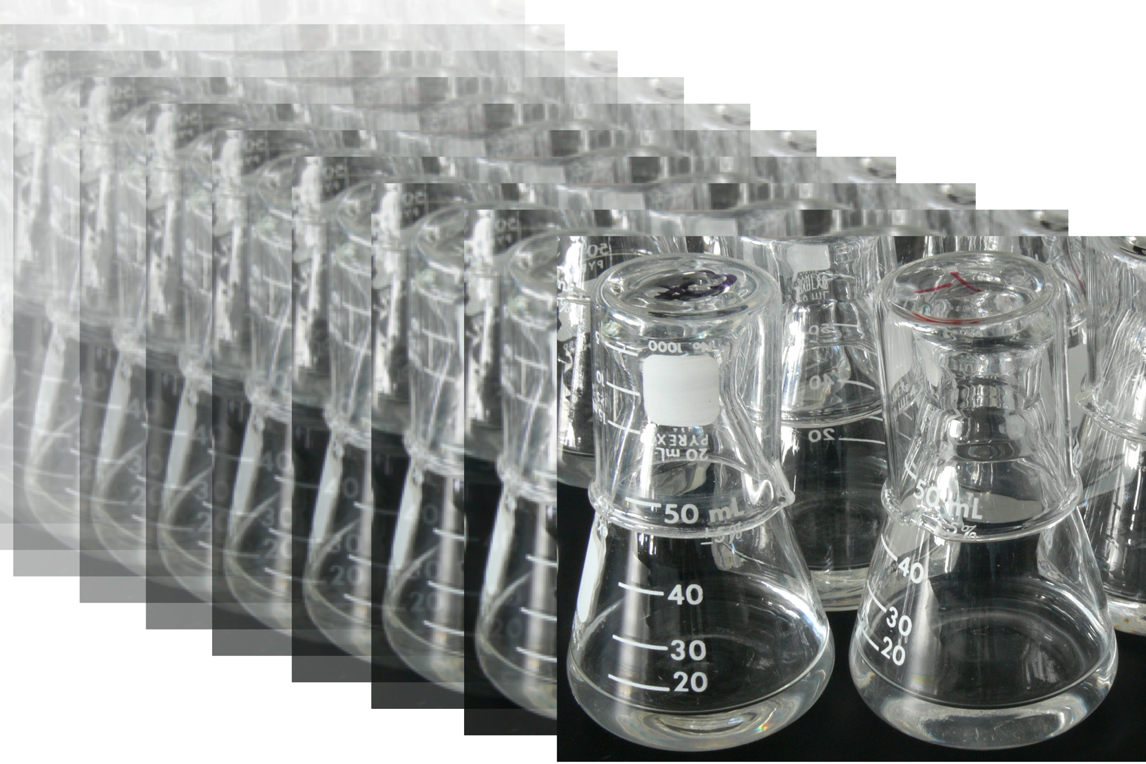 Glass flasks used in long-term experimental evolution project