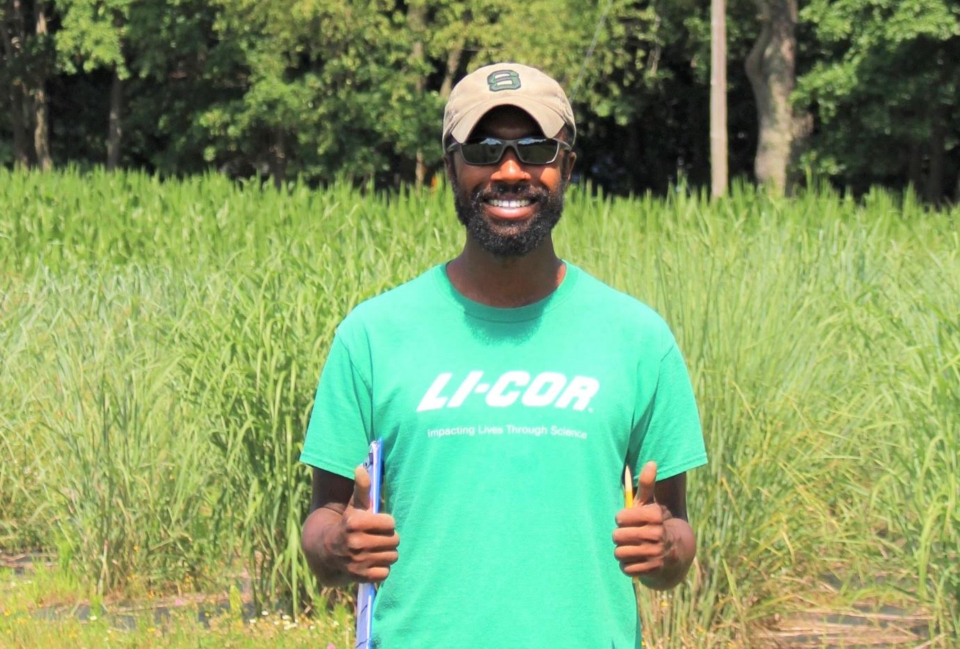 Man working in switchgrass field