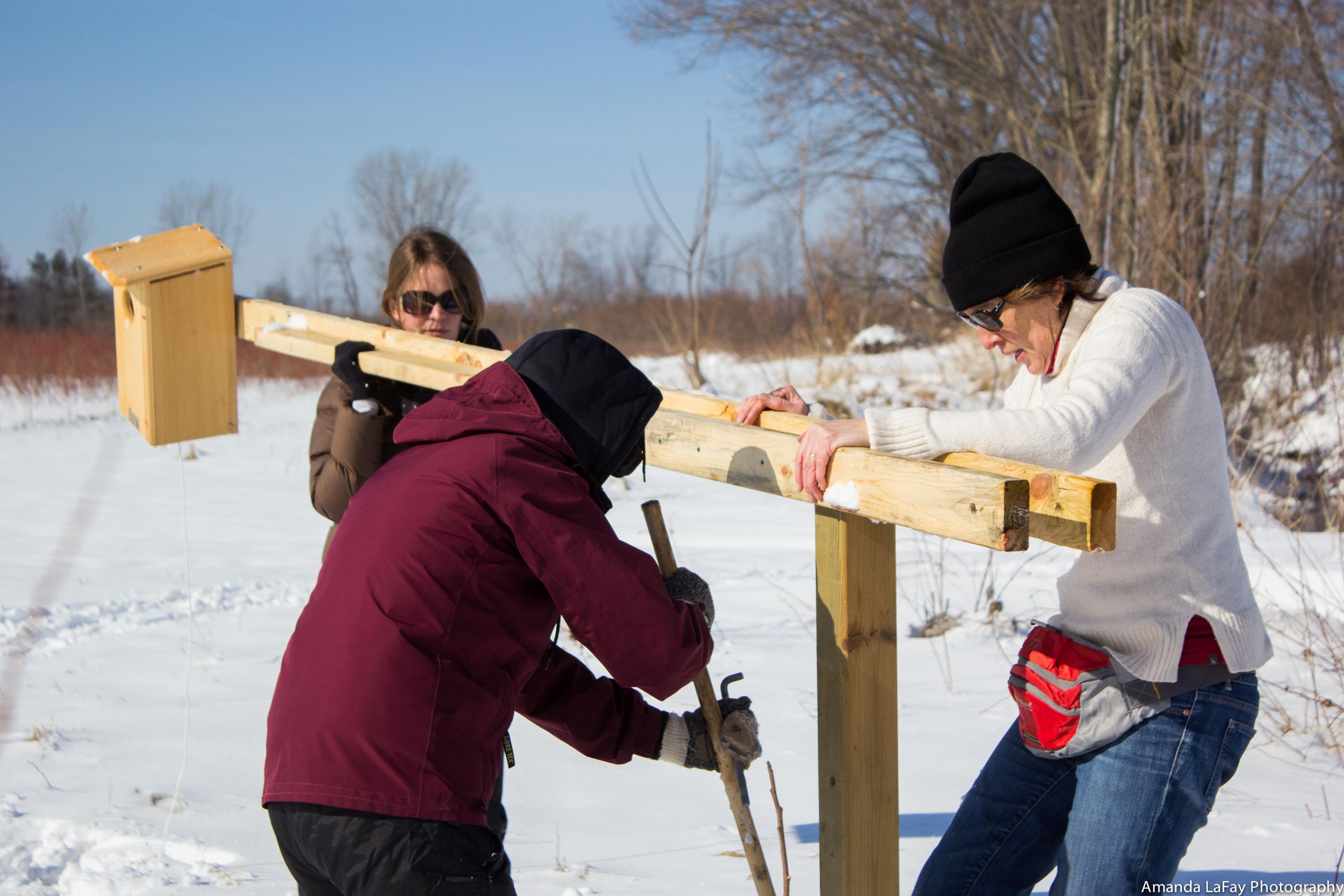 Group of people erecting bird house in the winter with snow on the ground